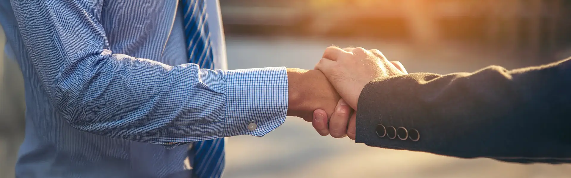 Litigation Support Background